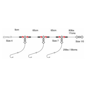 Tronix Axia 2 up 1 down shore rigs