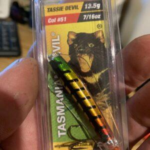 Wigstons tazmanian devil 13gr COLOUR 51