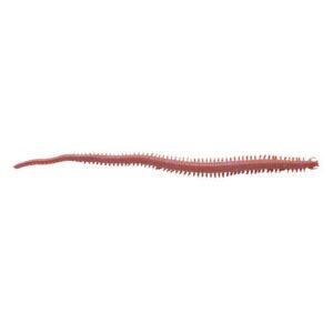 Gulp Saltwater Sandworm dark brown 6"